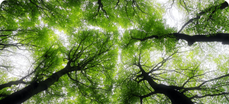 ed-van-duijn-2uTjeMfeVEU-unsplash-1.png